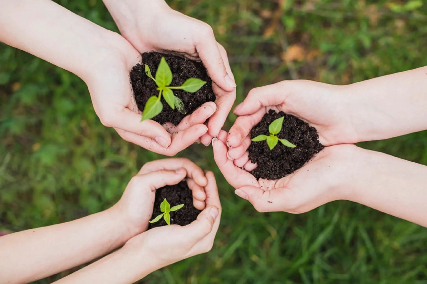tarea vida protecionn ambiente