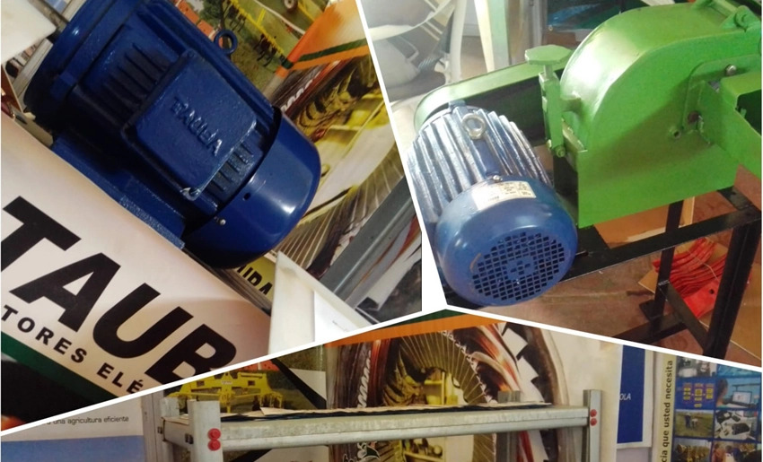 Mipyme Tauba Holmotor