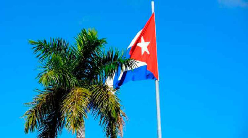 bandera y palma