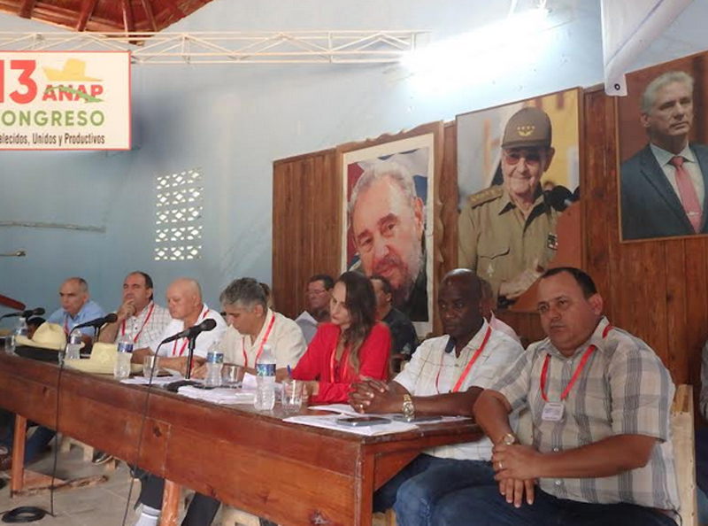 AsambleaA1