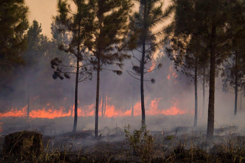 incendio