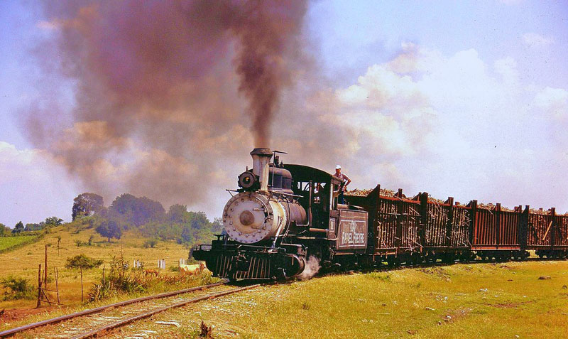 locomotoras freyre 01