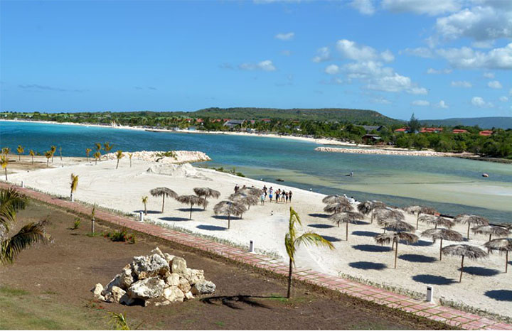 0312 holguin tarea vida