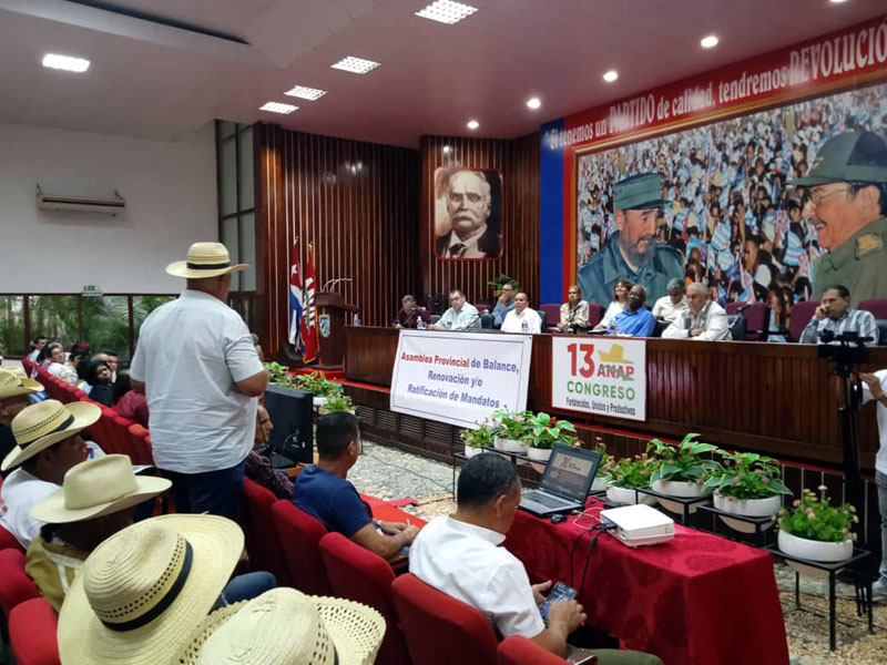 asamblea anap 01