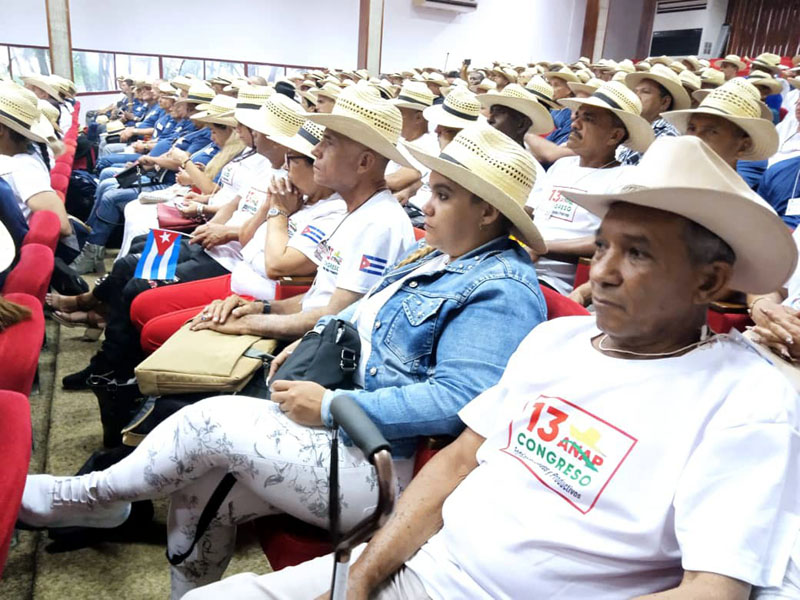asamblea anap 03