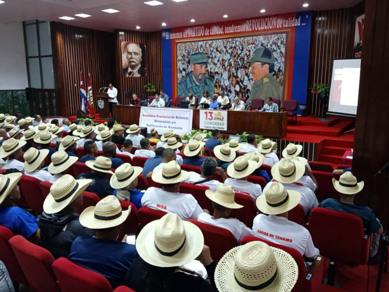 asamblea anap 05