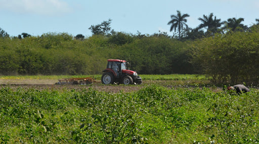 cuba agropecuaria