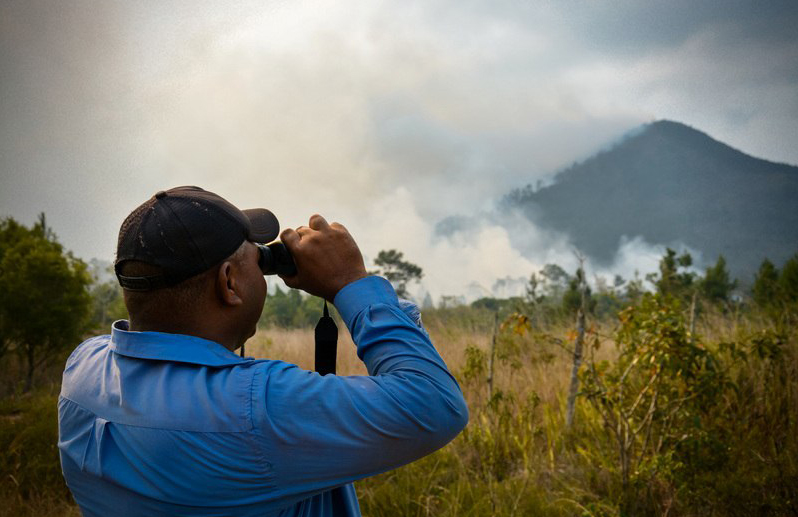 0526 incendios forestales