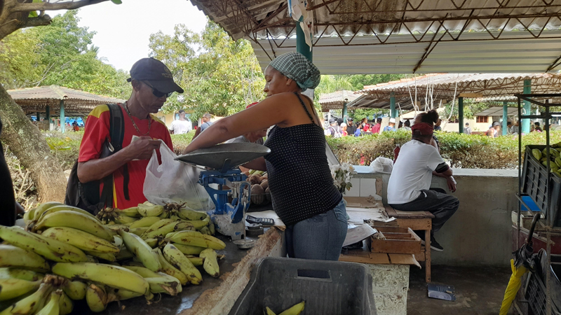 feriaagro2