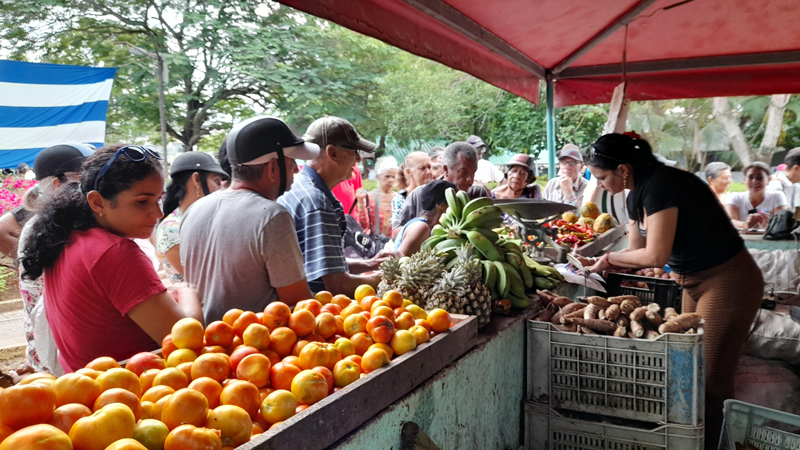 feriaagro4