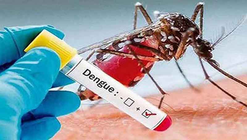 Dengue prevencion y manejo