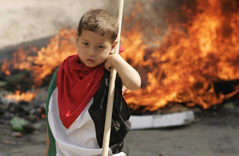 gaza 04