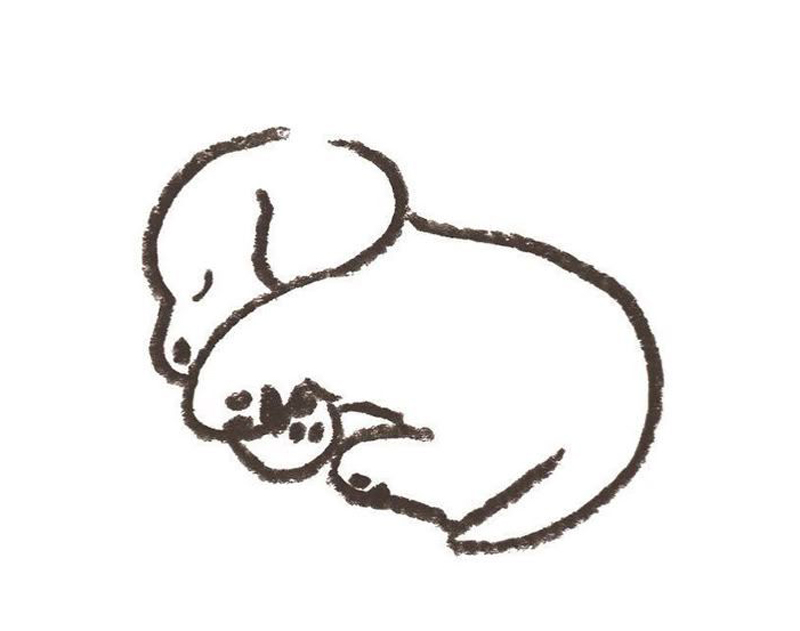 mascota1