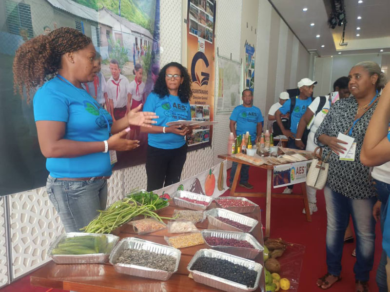 taller alimentos 03