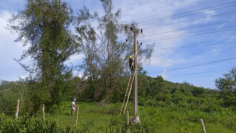 freyre recuperacion 05