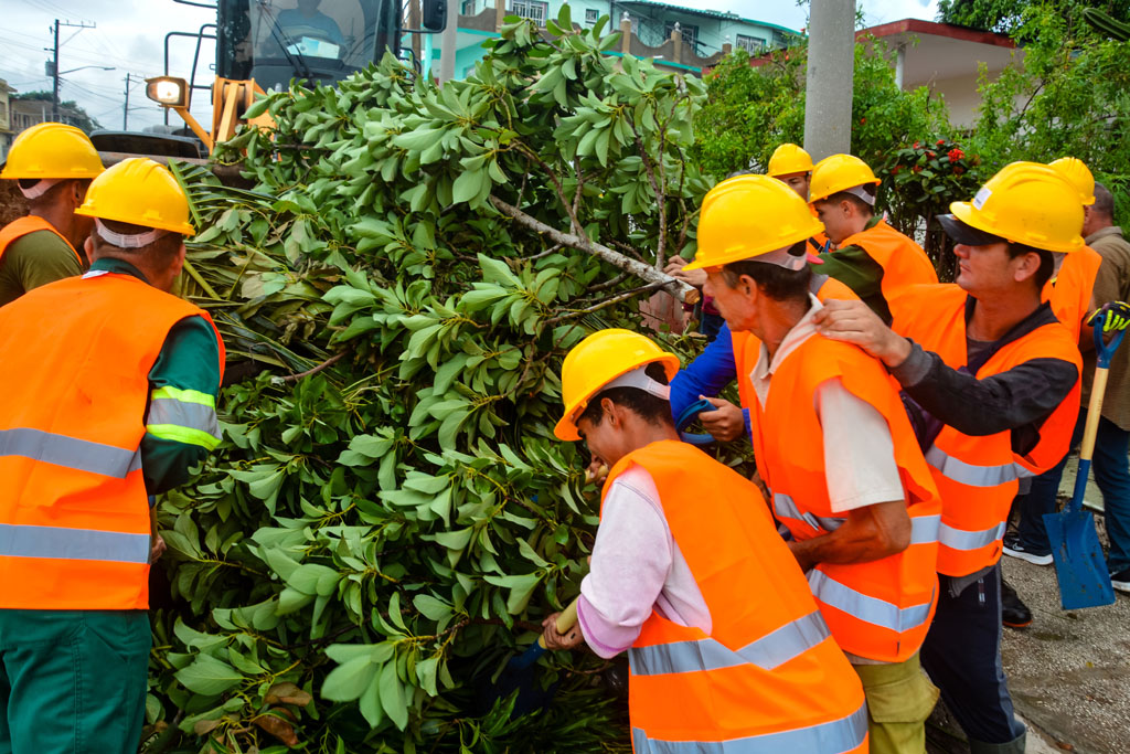 recuperación melissa 01