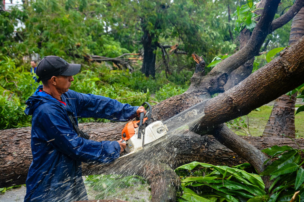 recuperación melissa 03