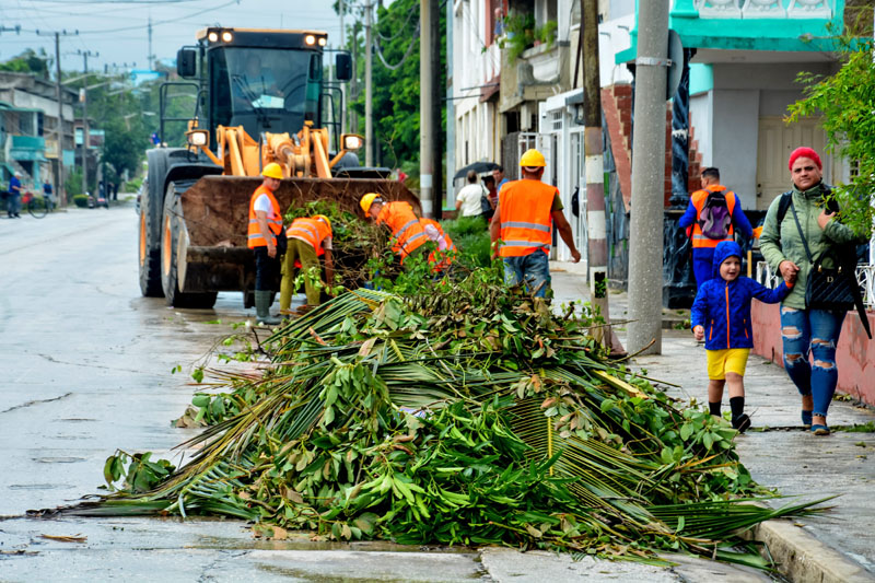 recuperación melissa 06