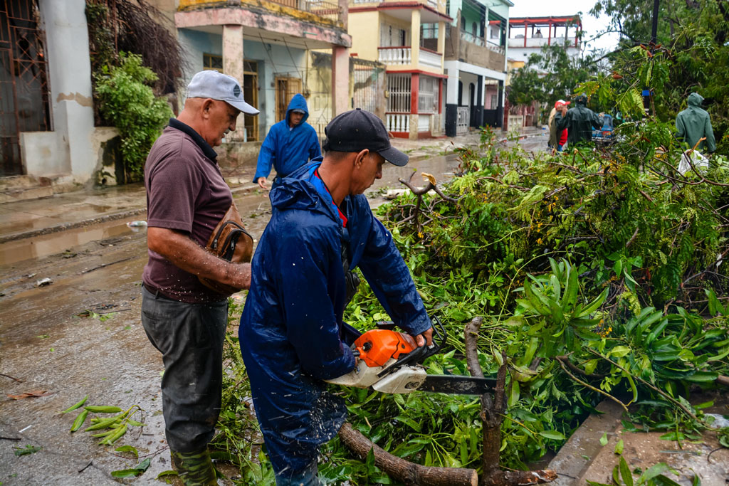 recuperación melissa 07