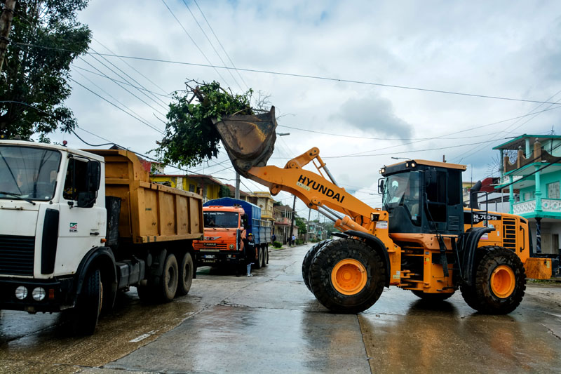 recuperación melissa 08