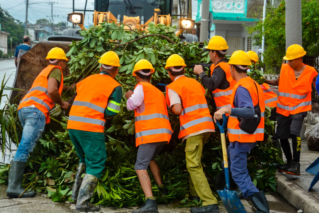 recuperación melissa 09