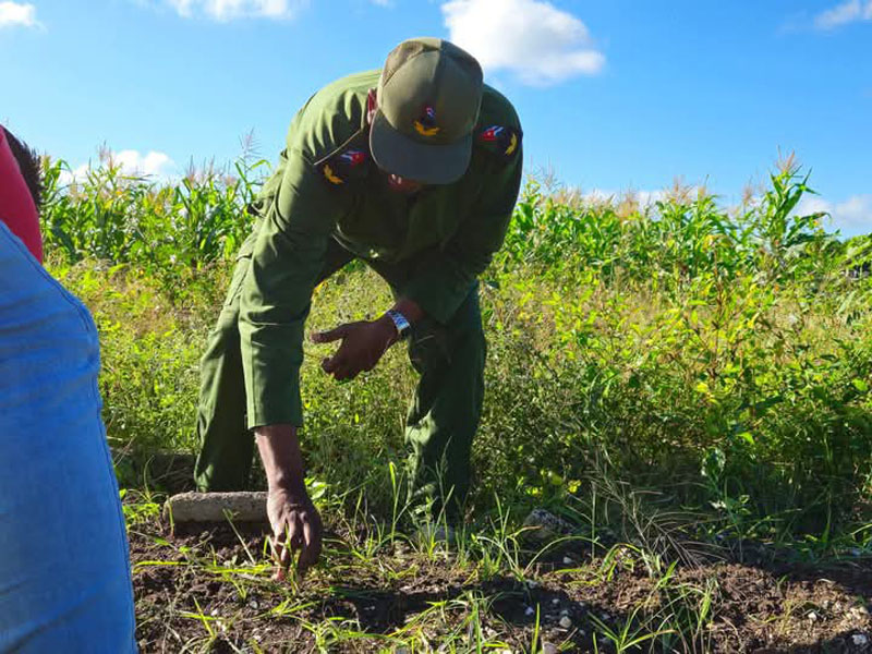 trabajao voluntario 01