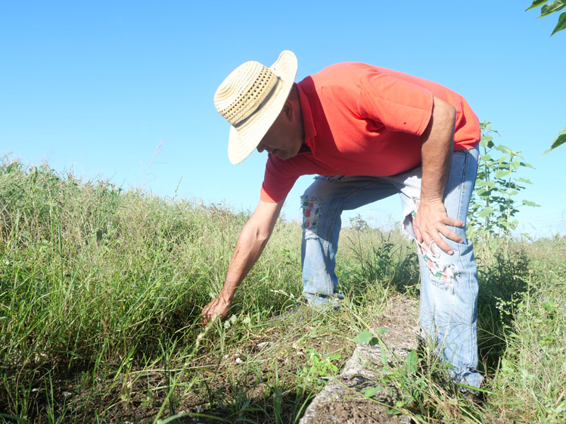 trabajao voluntario 05