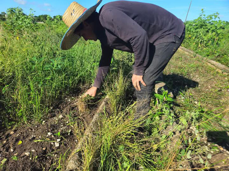 trabajao voluntario 06