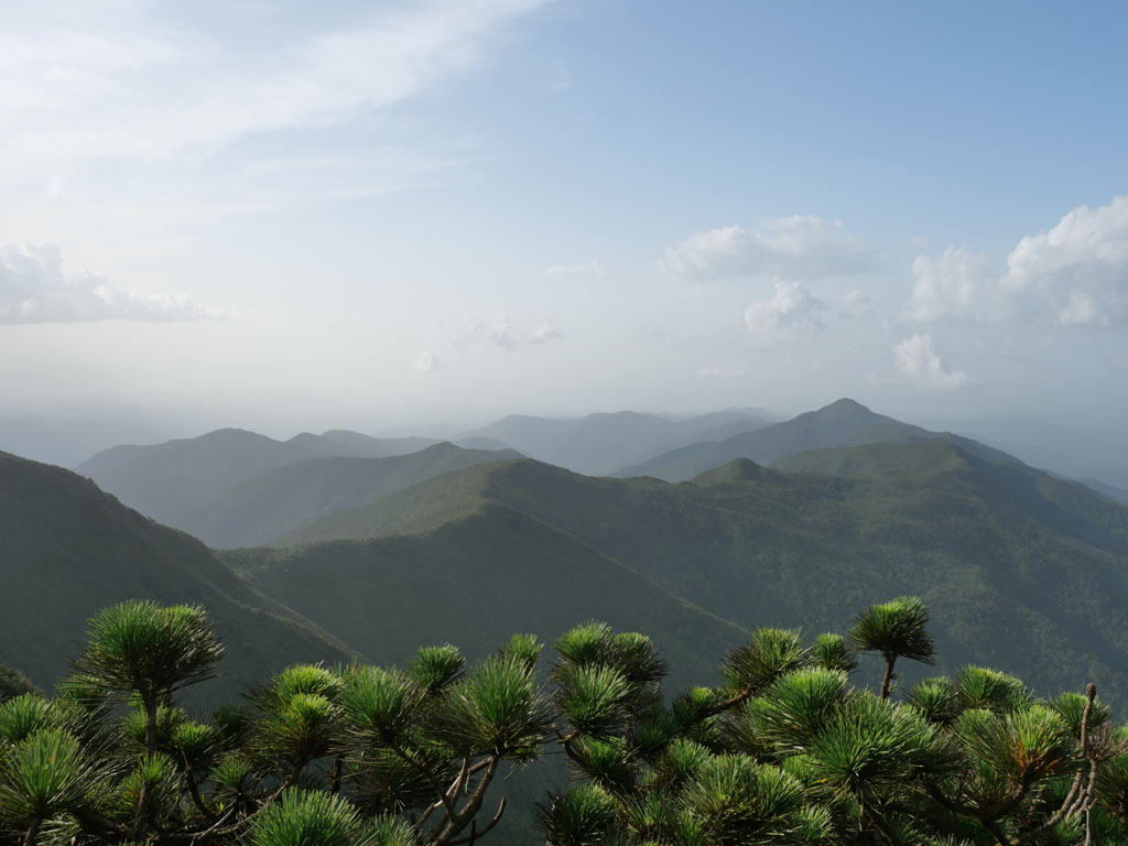 fotorrep pcristal 06