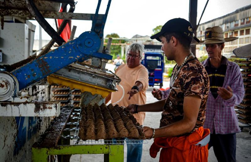 cooperacion holguin cartones huevo1