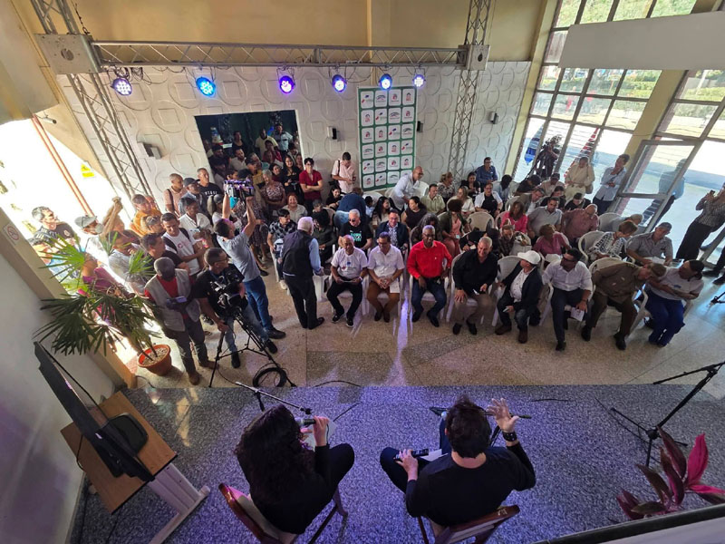 vivian telecristal 02