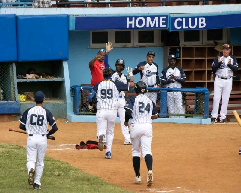 cachorros1