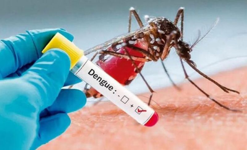 Cuba dengue1 