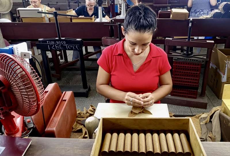 Fotorrep tabaco 6