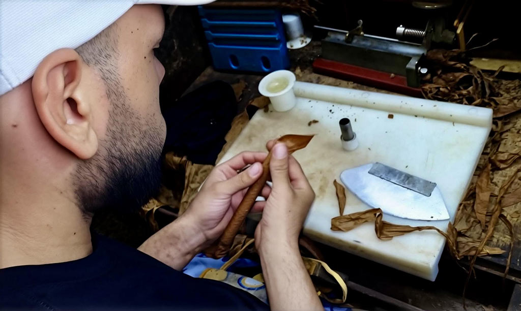 Fotorrep tabaco 7