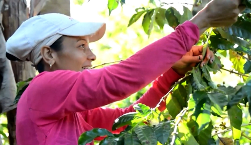 mujer rural 01
