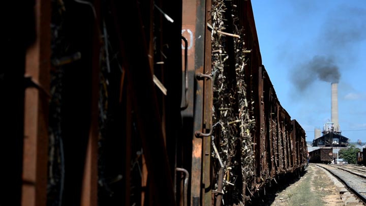Uno de los centrales más importantes de la provincia de Holguín, es el central López Peña, fundado en 1917 Báguanos