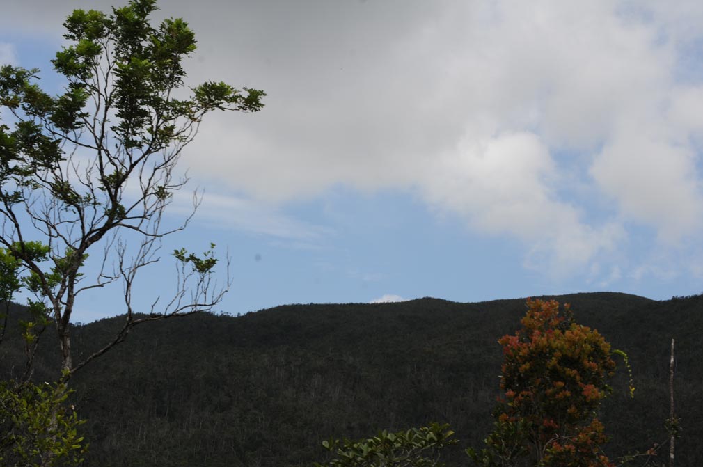 Comunidad La Melba, en Holguín, en el Parque Nacional Alejandro de Humboldt. Fotos: Elder Leyva