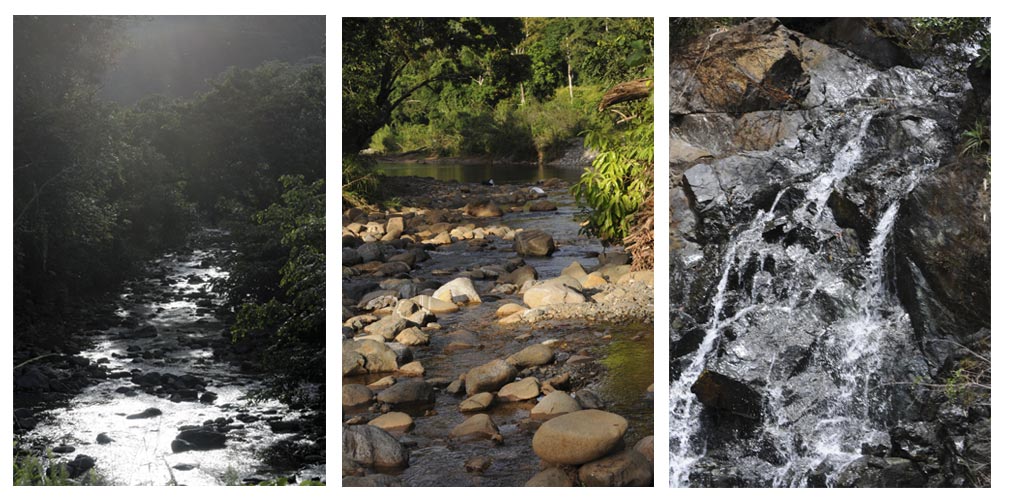 Comunidad La Melba, en Holguín, en el Parque Nacional Alejandro de Humboldt. Fotos: Elder Leyva