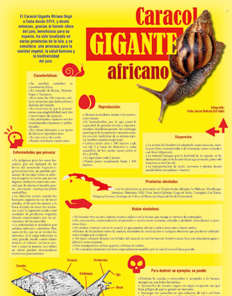 Caracol-gigante-portada.jpg