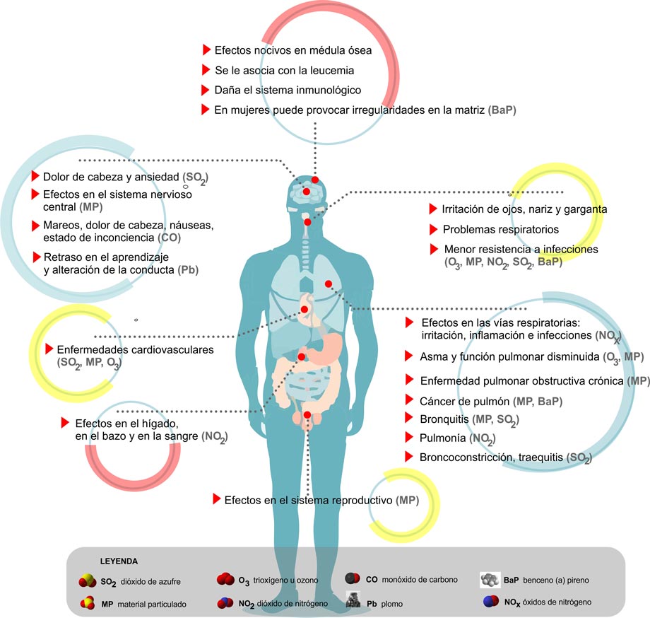 Infografia de contaminantes en la salud