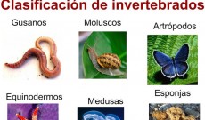 Leer más...