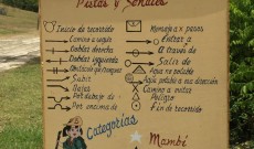 Leer más...
