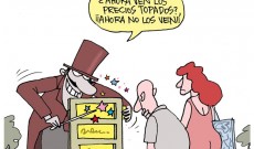 Leer más...