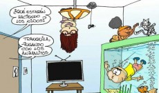 Leer más...