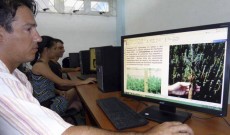 Leer más...