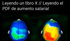 Leer más...