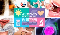 Leer más...