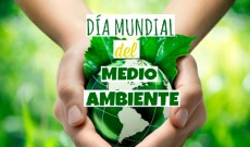 Leer más...