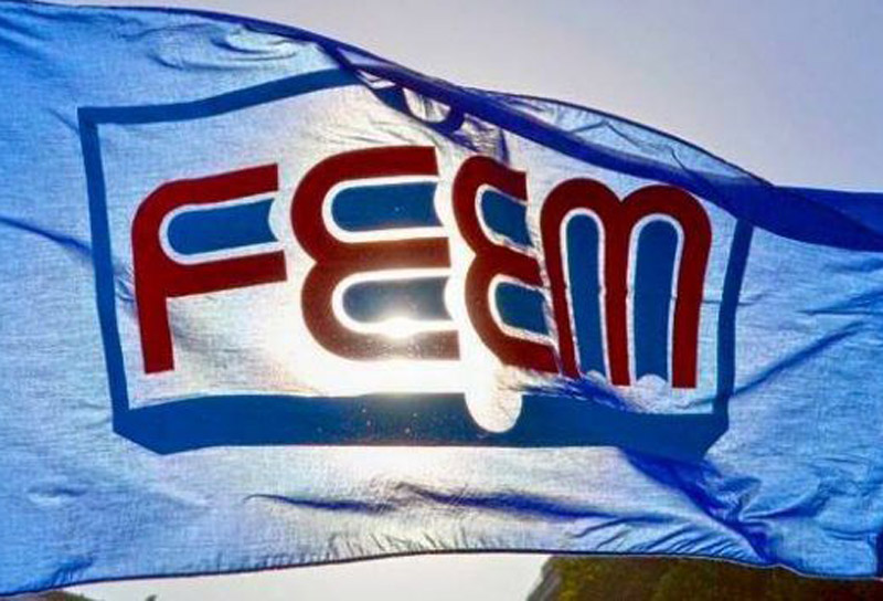 FEEM